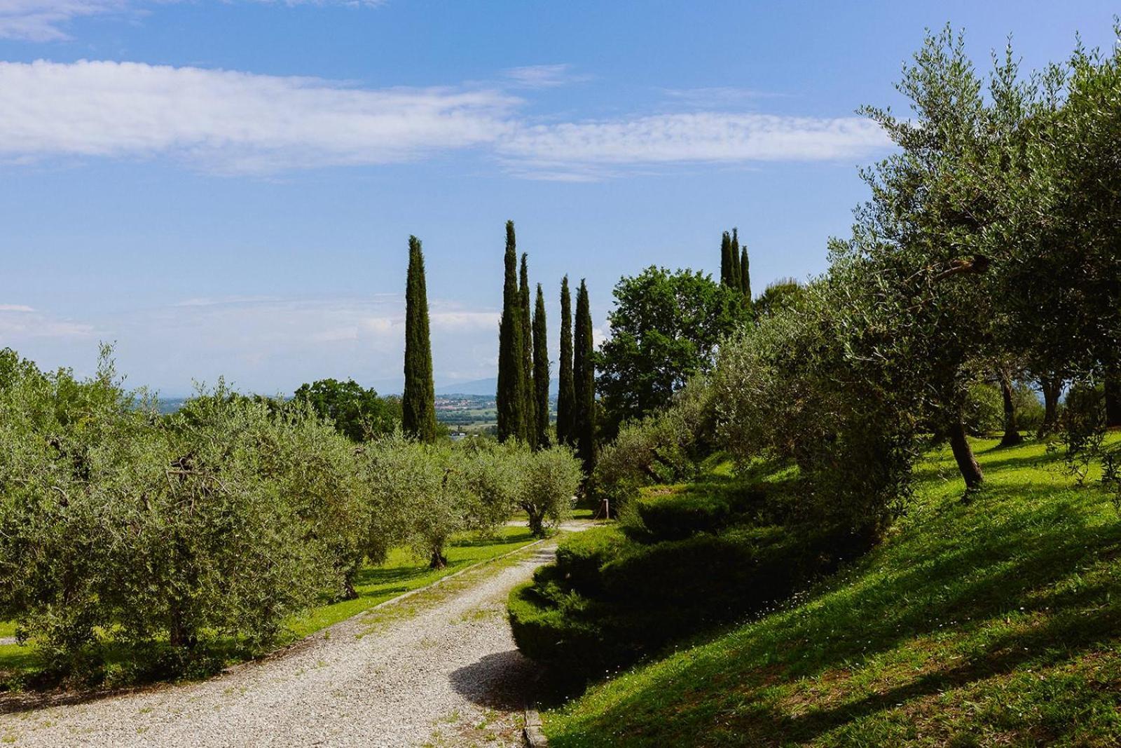 Villa Scianellone Torrita di Siena Kültér fotó